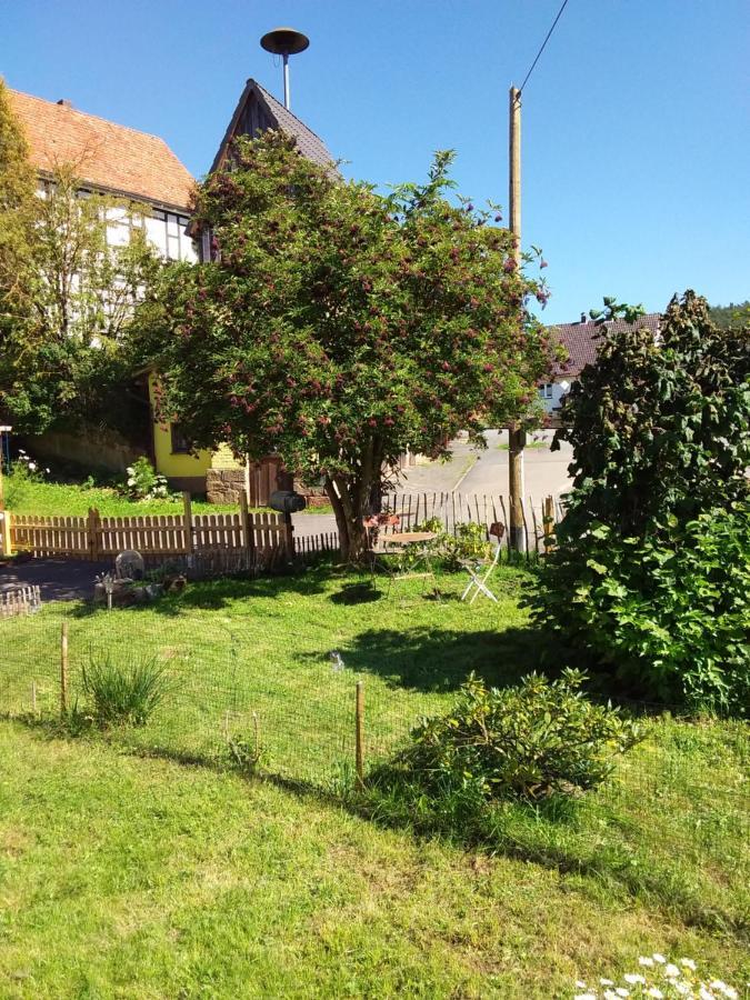 Appartement An Der Bicke Dehringhausen Exteriör bild